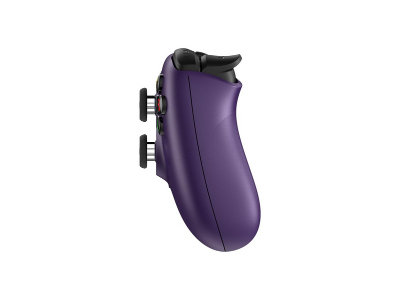 8BitDo Ultimate 2 Wireless 2.4G - TMR - RGB - Purple - Wireless Controller - PC