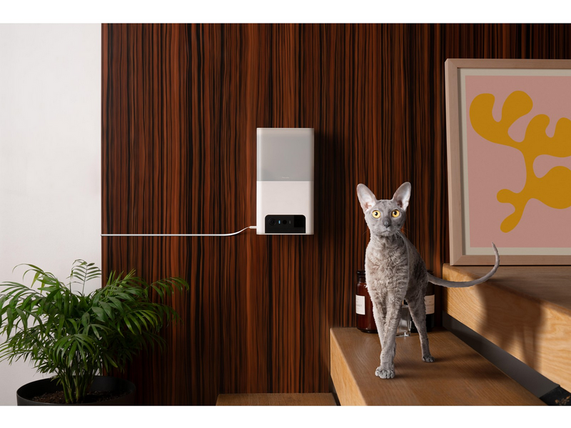 Petcube Bites 2 Light