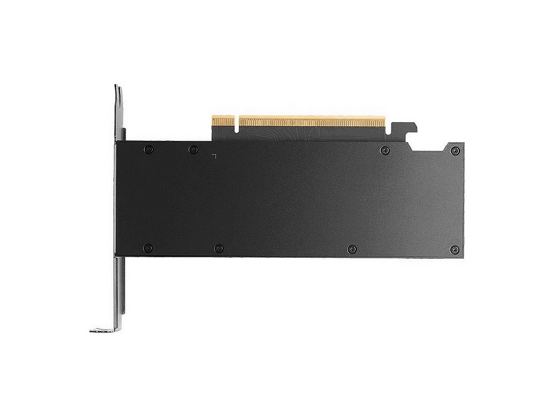 NVIDIA RTX PRO 2000 Blackwell Bulk - 16GB GDDR7 RAM - Grafikkarte