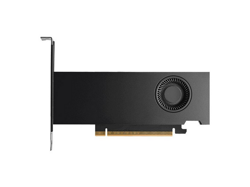 NVIDIA RTX PRO 2000 Blackwell Bulk - 16GB GDDR7 RAM - Grafikkarte
