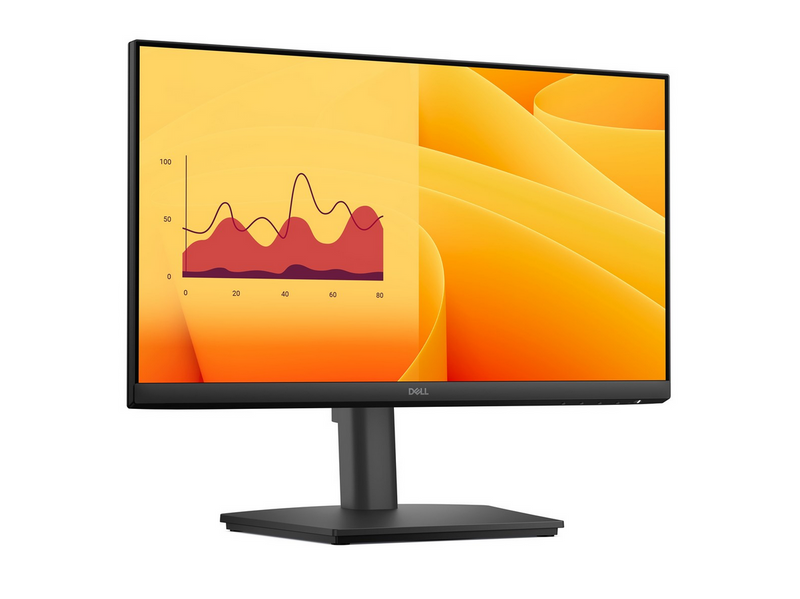 22" Dell E2225HSM - 1920x1080 (FHD) - 100Hz - VA