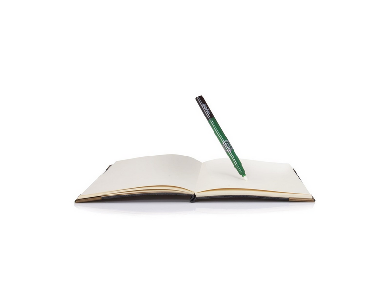 Harry Potter Tom Riddle's Diary Notebook Pen & Torch