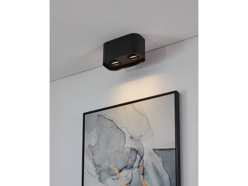EGLO CAMINALES-Z ceiling lamp 2L black