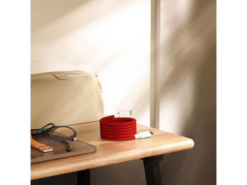 OnePlus Magnetic Cable Type-C to Type-C
