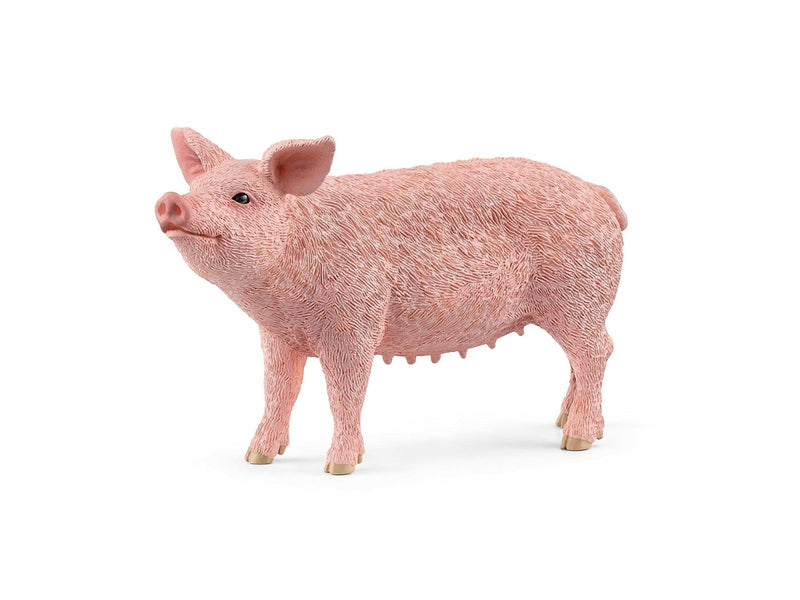 Schleich Pig