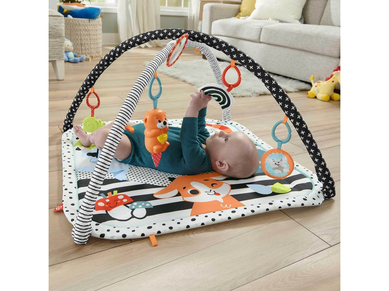 Fisher Price 3-in-1 Music Glow and Grow Gym