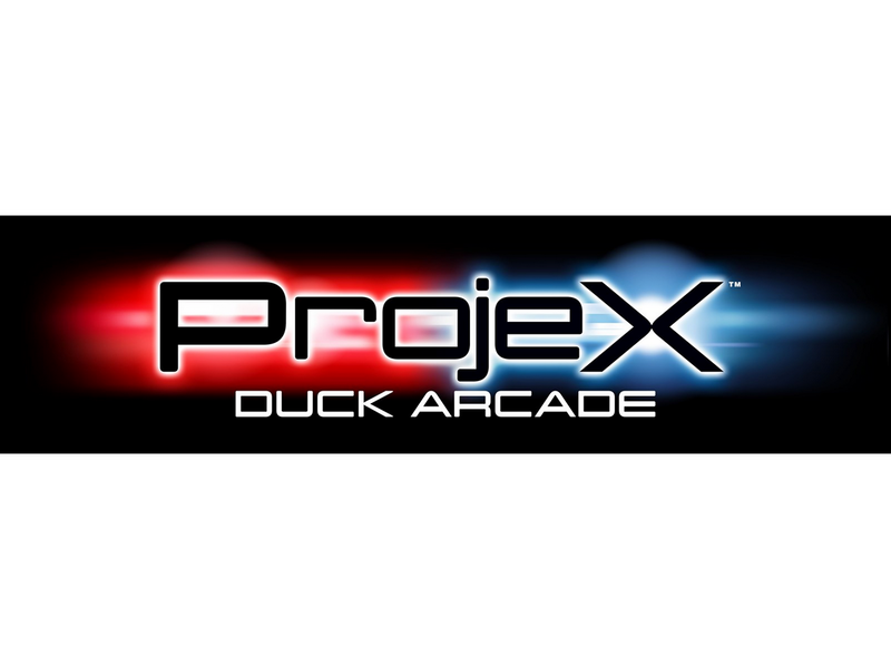 ProjeX Duck Arcade one player