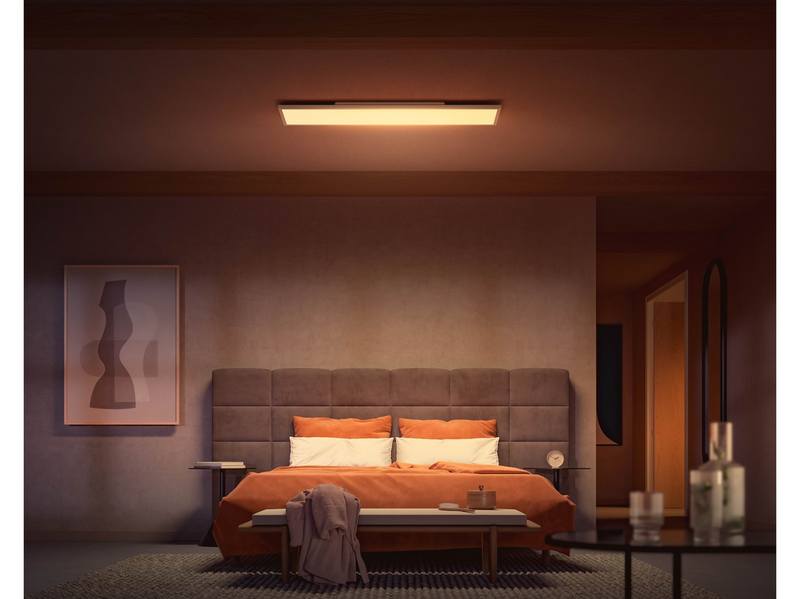 Philips Hue WCA Surimu Panel Rectangular 120 x 30 cm 60W