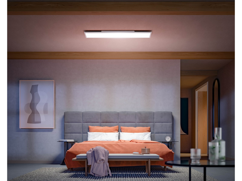 Philips Hue WCA Surimu Panel Rectangular 120 x 30 cm 60W