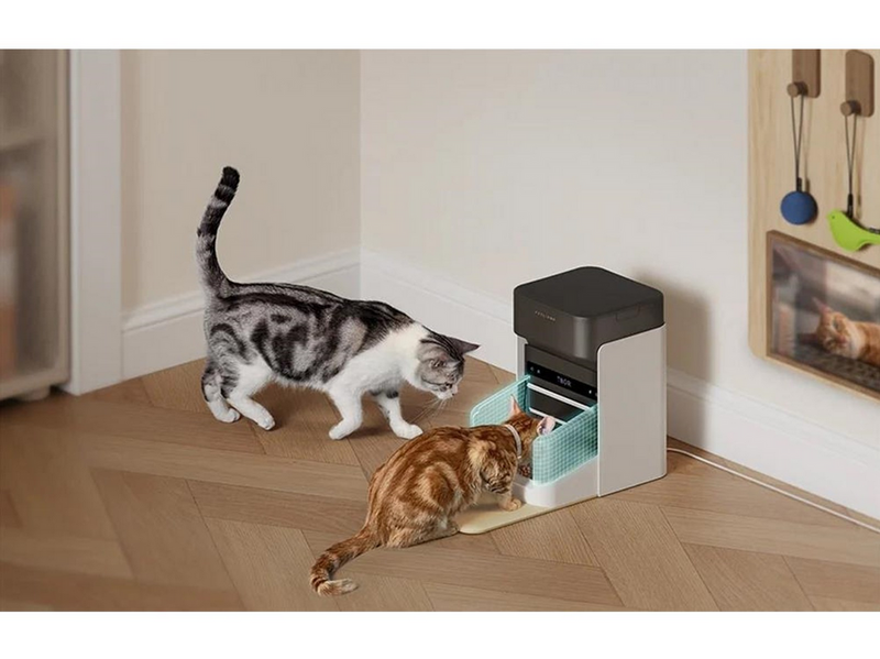 Petlibro RFID Smart Food Dispenser with Collar 3L
