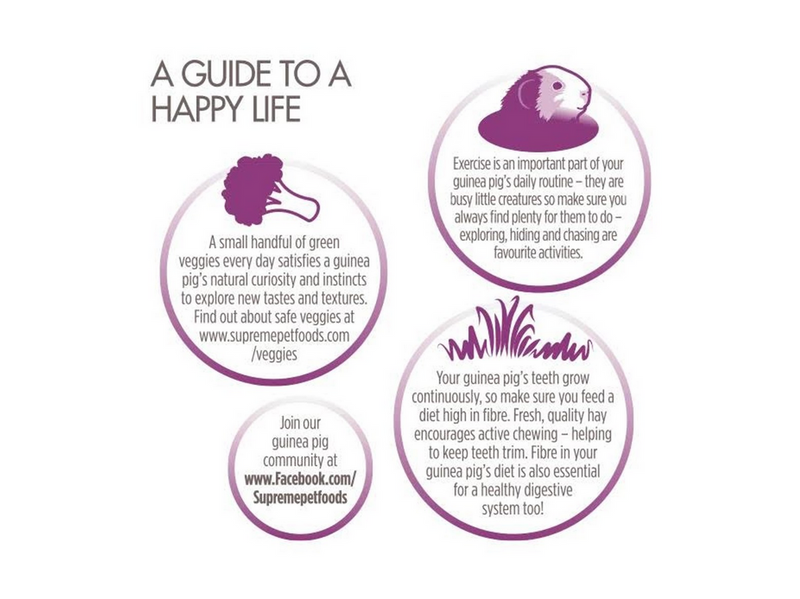 Science Selective Guinea pigs 10 kg.