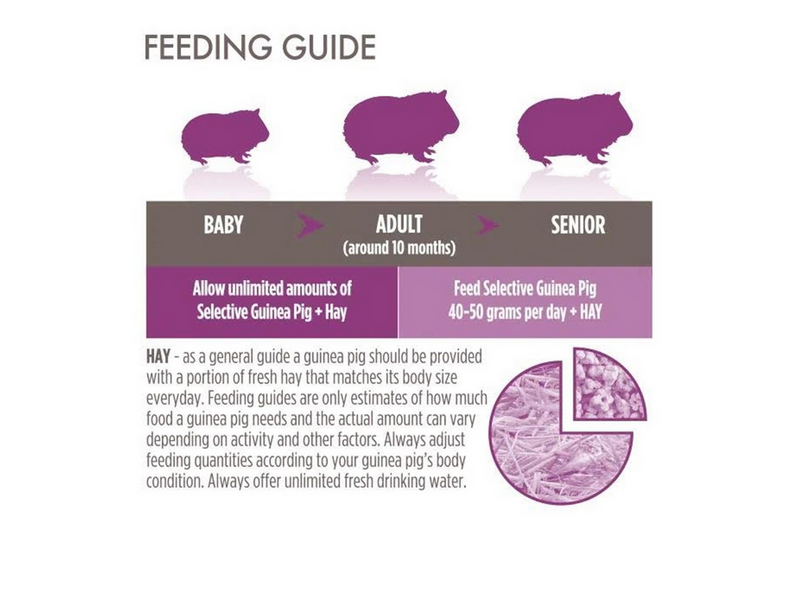 Science Selective Guinea pigs 10 kg.