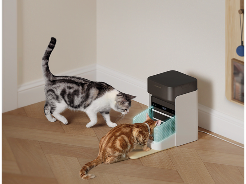 Petlibro One RFID Pet Feeder