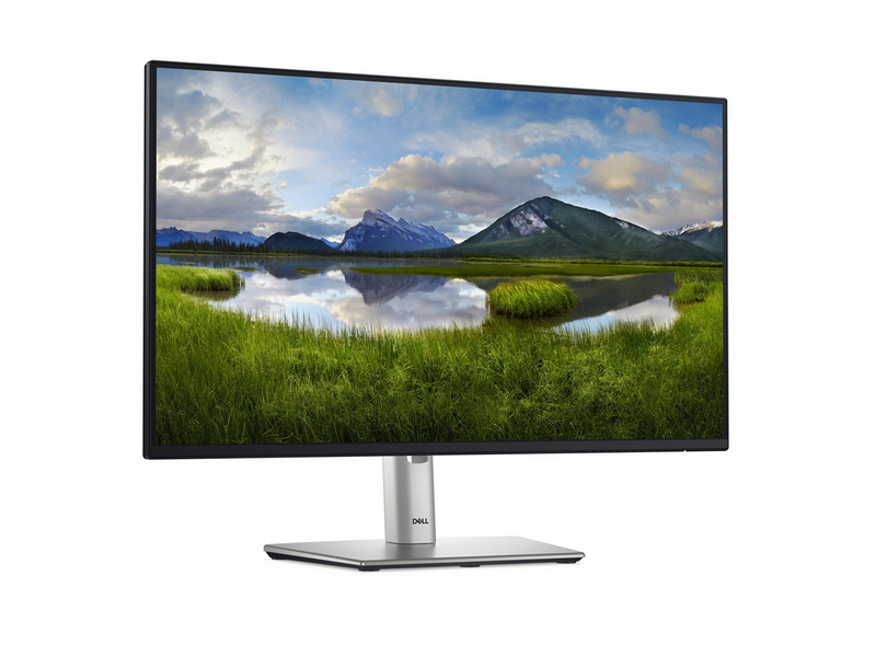 24" Dell P2425HE - 1920x1080 (FHD) - 100Hz - IPS - 90W USB-C