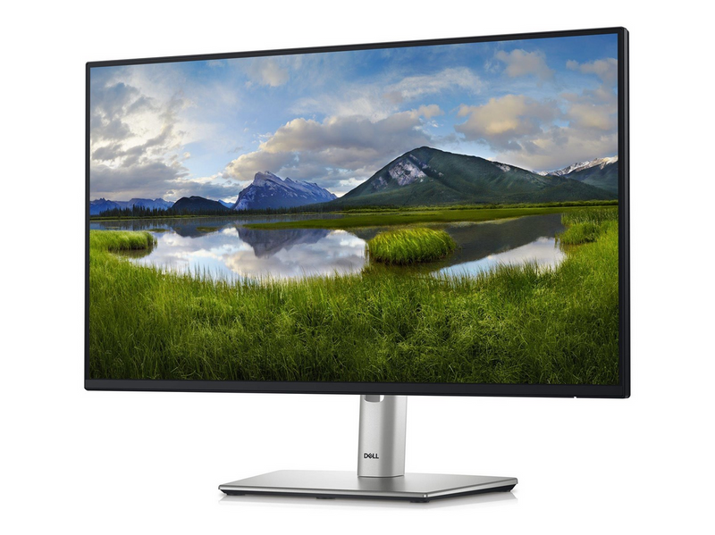24" Dell P2425H - 1920x1080 (FHD) - 100Hz - IPS - 15W USB-C