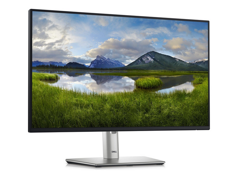 24" Dell P2425H - 1920x1080 (FHD) - 100Hz - IPS - 15W USB-C