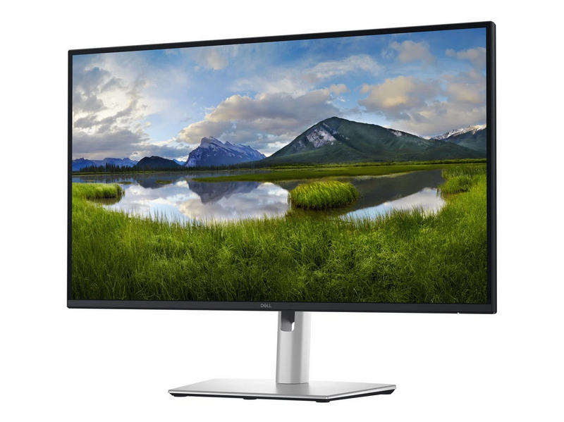27" Dell Pro 27 Plus P2725DE - 2560x1440 (QHD) - 100Hz - IPS - 90W USB-C