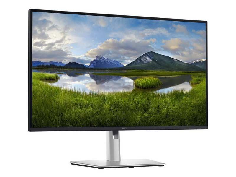 27" Dell Pro 27 Plus P2725DE - 2560x1440 (QHD) - 100Hz - IPS - 90W USB-C