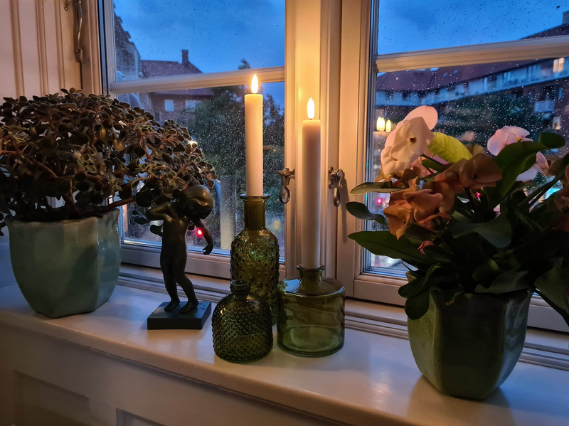 Asp-Holmblad LED-Wachs-Dinnerkerze