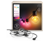 Philips Hue Festavia Globe outdoor string lights 7 m