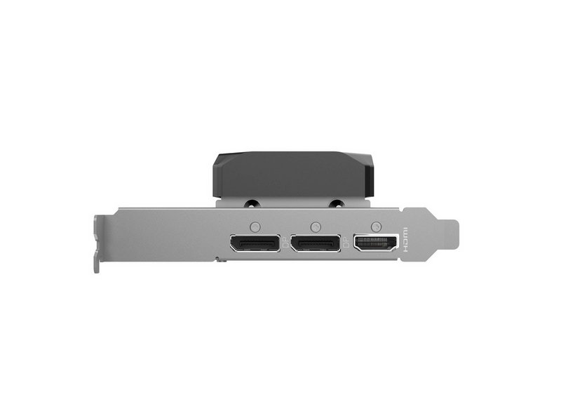 ZOTAC GeForce RTX 5060 Low Profile - 8GB GDDR7 RAM - Grafikkarte