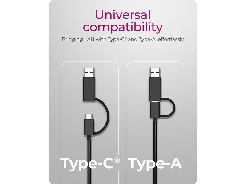 ICY BOX USB Type-A or Type-C 2.5 Gigabit Ethernet LAN adapter