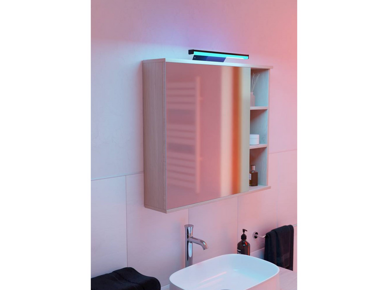 EGLO REGELLO-Z WALL L600 RGB/CCT 1350LM IP44 SCHWARZ