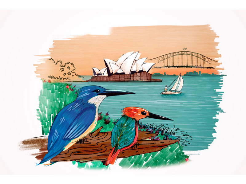 Faber-Castell Tuschest. Pitt Artist Pen Set Sydney