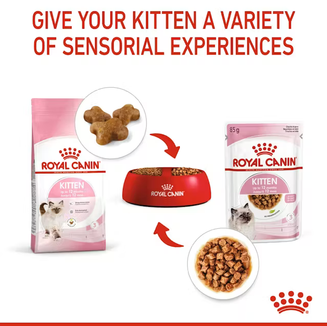 Royal Canin Kitten in Gravy 85g (12-Pack)