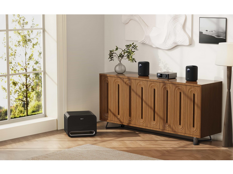 WiiM Sound - Smart Speaker - Black