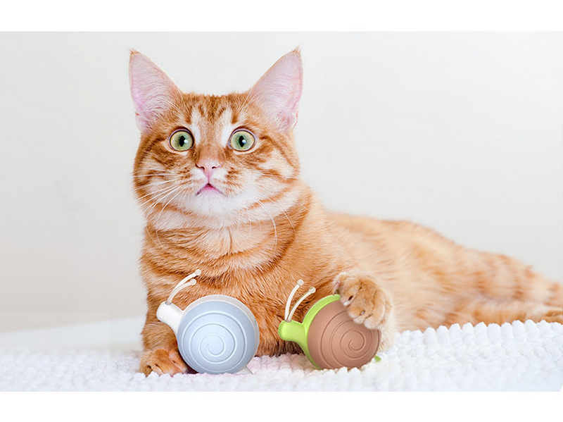 Cheerble Interactive Cat Toy: Wicked Snail (Blue)