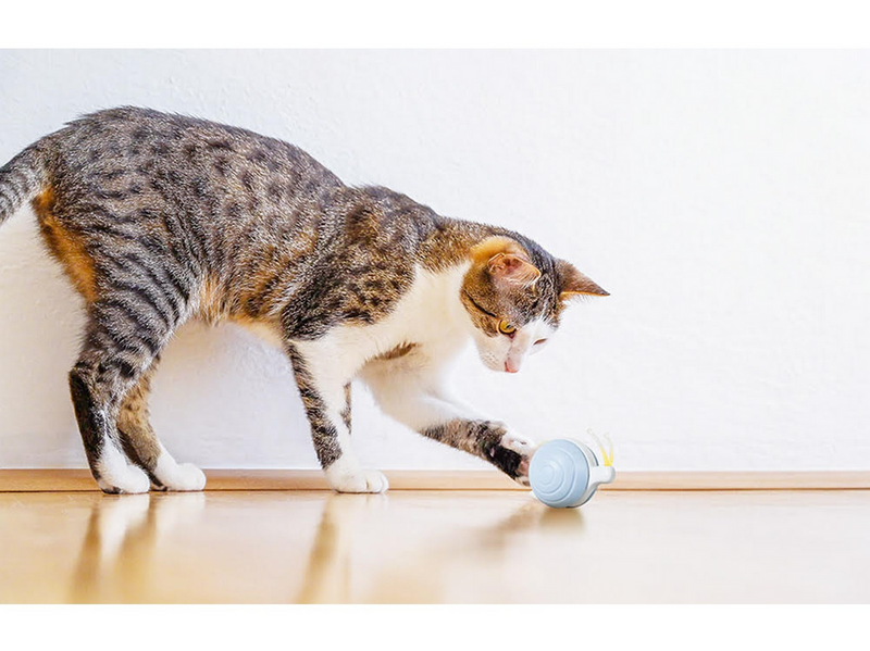 Cheerble Interactive Cat Toy: Wicked Snail (Blue)