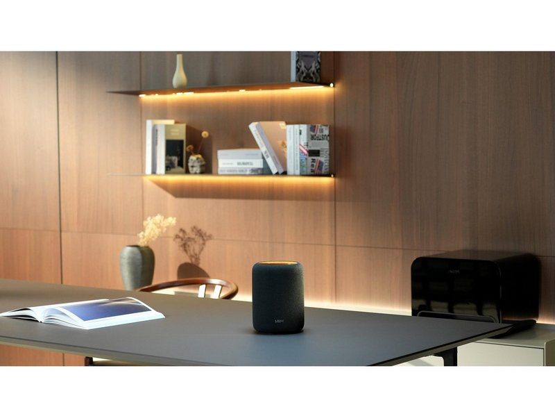 WiiM Sound Lite Black