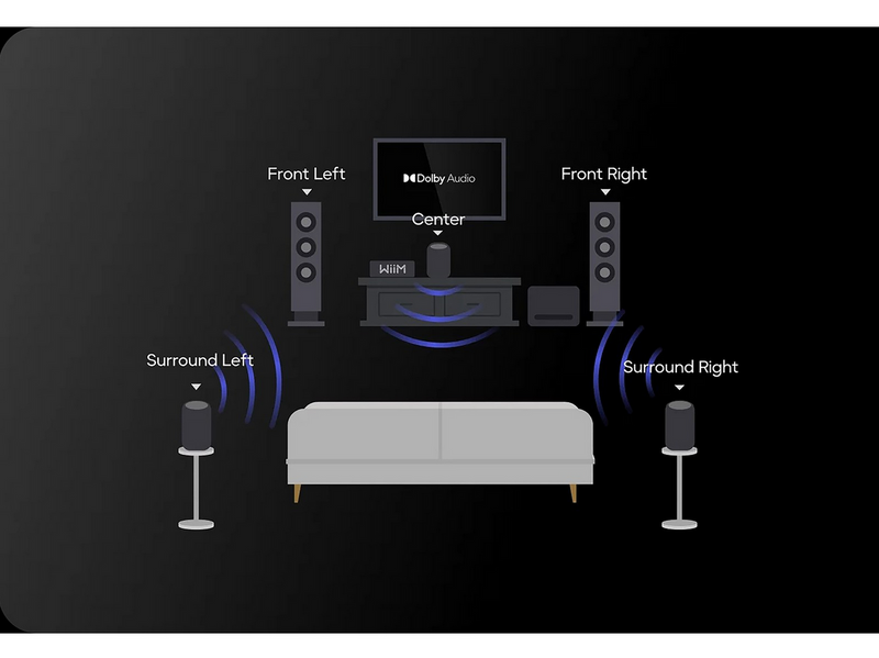 WiiM Sound Lite Black