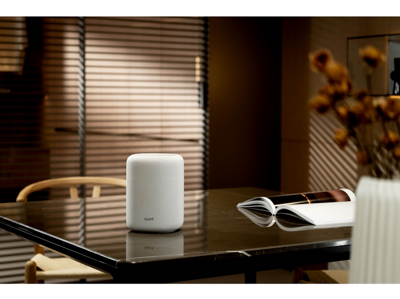 WiiM Sound Lite White