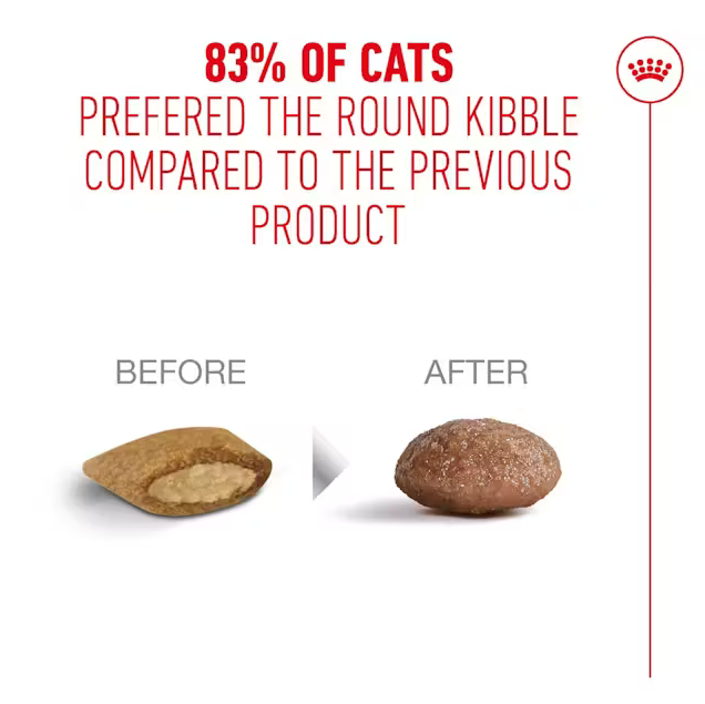 Royal Canin Ageing 11+ Dry Food for Cats 4kg