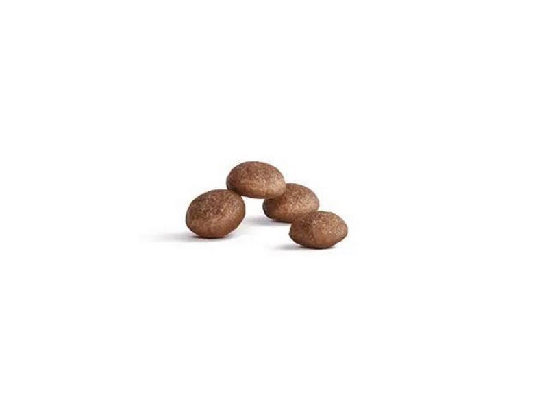 Royal Canin Ageing 11+ Dry Food for Cats 4kg