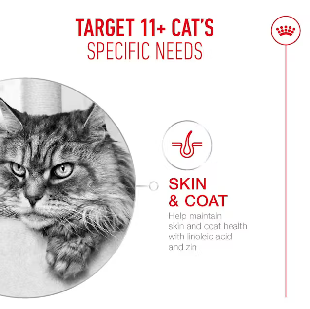Royal Canin Ageing 11+ Dry Food for Cats 4kg