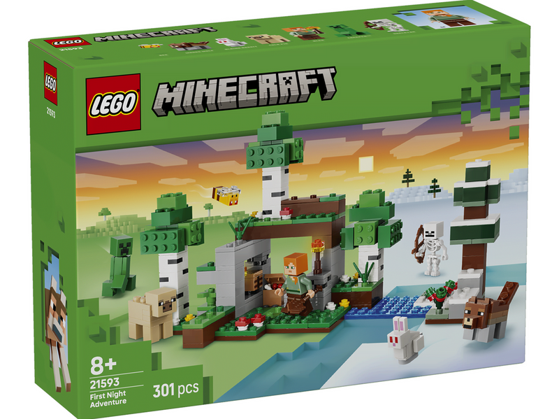 LEGO Minecraft 21593 Erstes Abenteuer in der Nacht