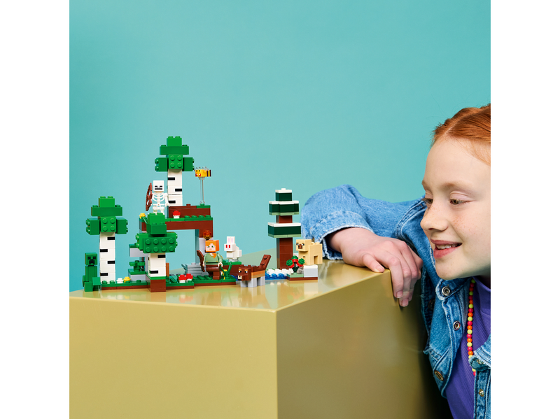 LEGO Minecraft 21593 Erstes Abenteuer in der Nacht