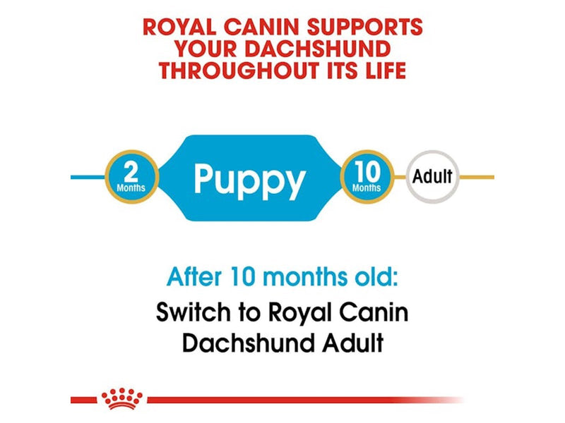 Royal Canin Dachshund Puppy 1.5kg