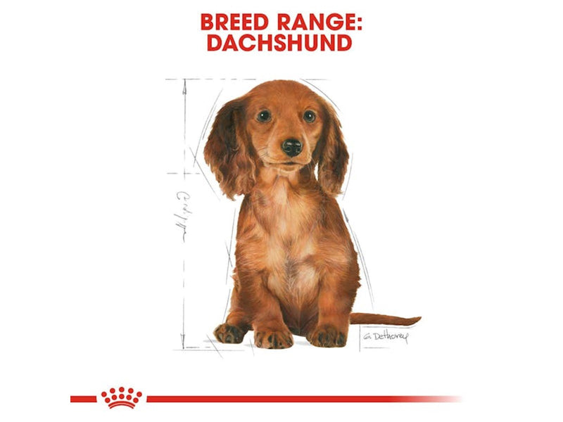 Royal Canin Dachshund Puppy 1.5kg