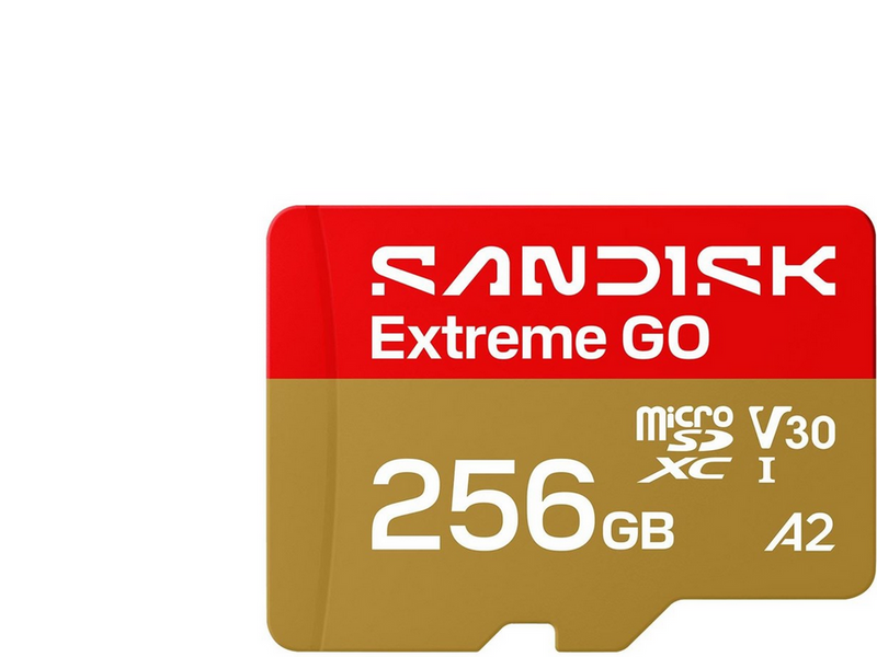 SANDISK Extreme GO microSD - 240MB/s - 256GB