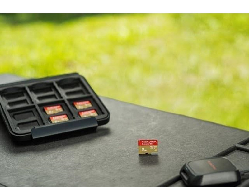SANDISK Extreme GO microSD - 240MB/s - 256GB