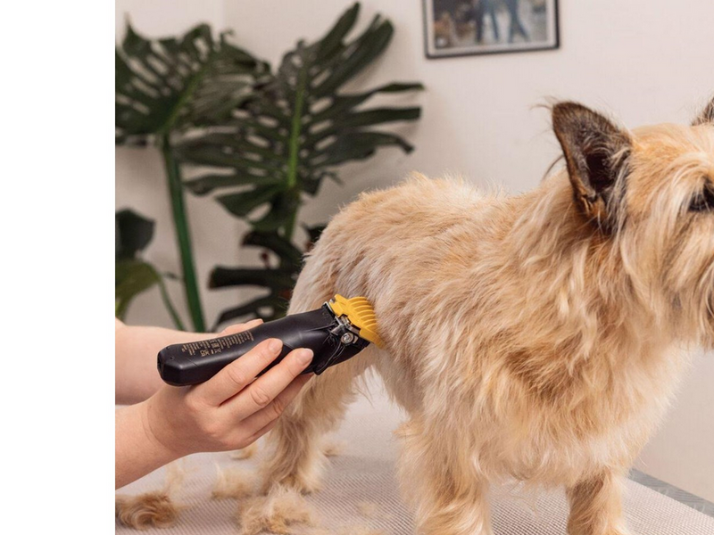 Wahl Pet Clipper Colour Pro