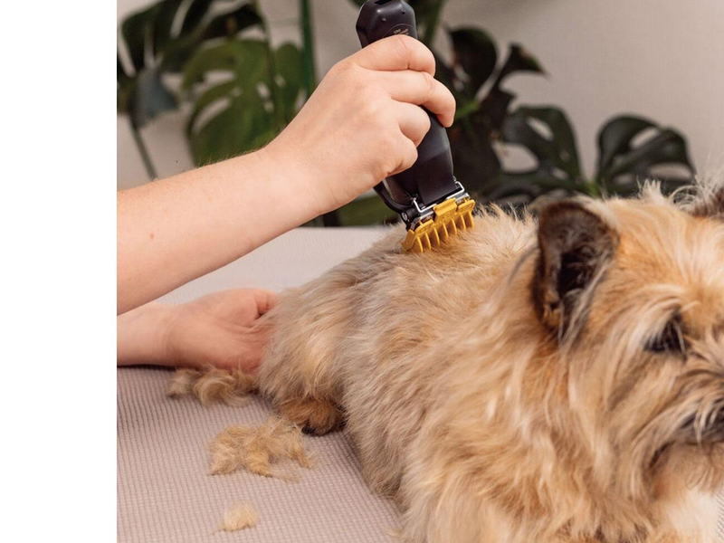 Wahl Pet Clipper Colour Pro