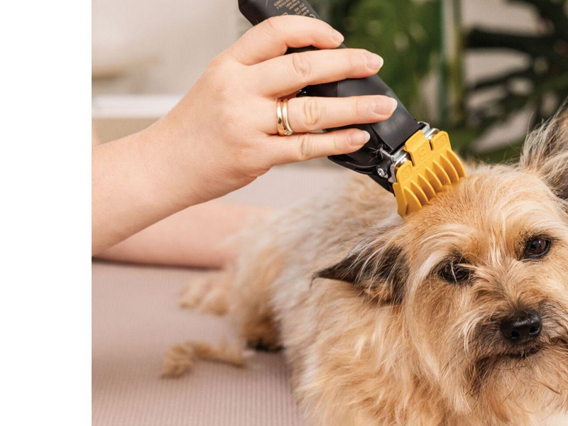 Wahl Pet Clipper Colour Pro