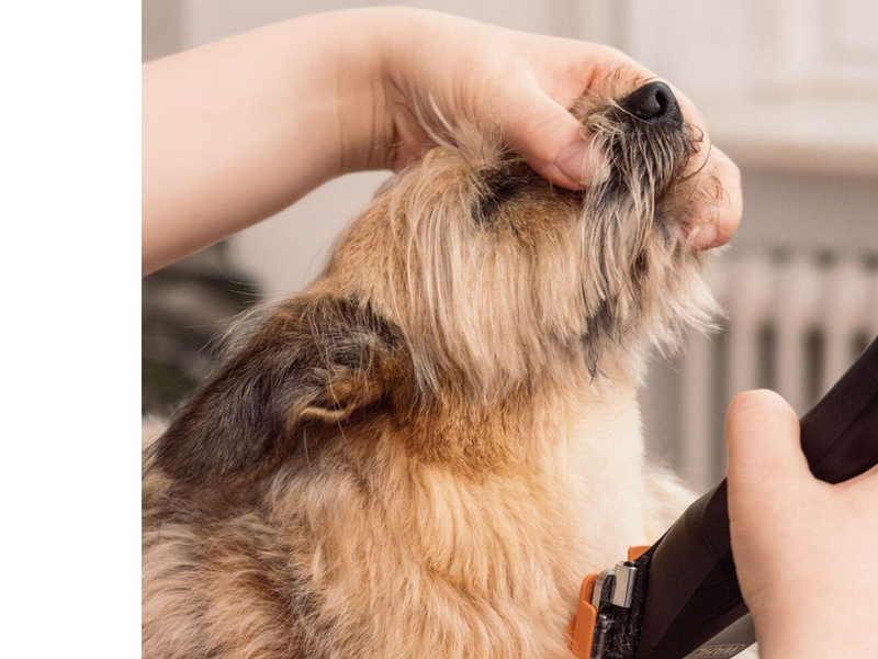 Wahl Pet Clipper Colour Pro