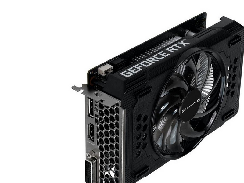 Gainward GeForce RTX 3050 Pegasus - 6GB GDDR6 RAM - Grafikkarte