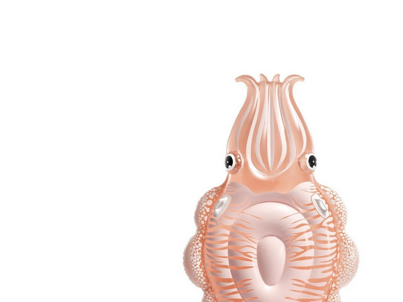 Intex Cuttlefish-Schwimmreifen, 191x117 cm